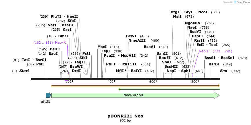 72965_map