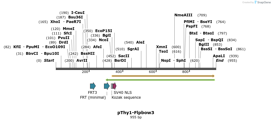 72969_map
