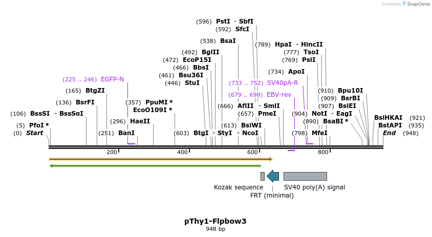 72971_map