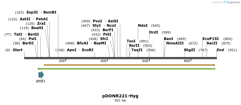 72972_map
