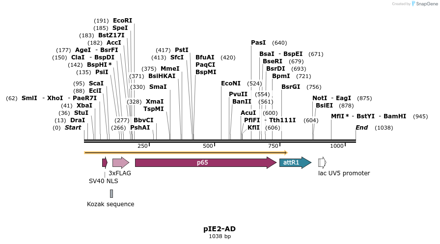 72974_map