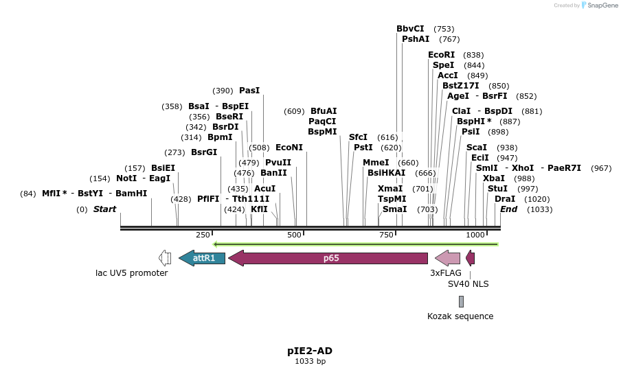72975_map