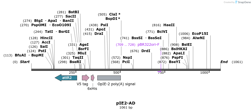 72976_map