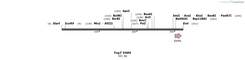 7298_map