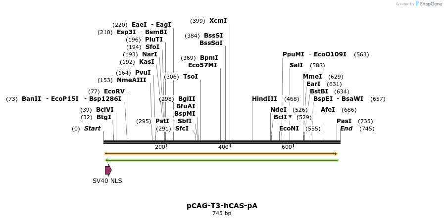 72986_map
