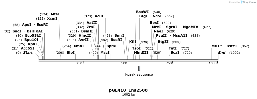 72990_map