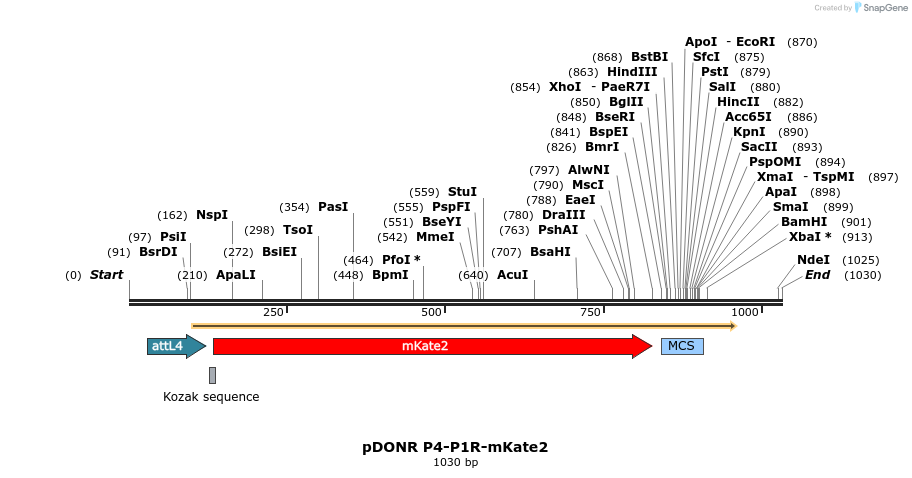 72991_map