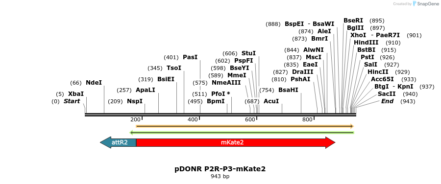 72993_map