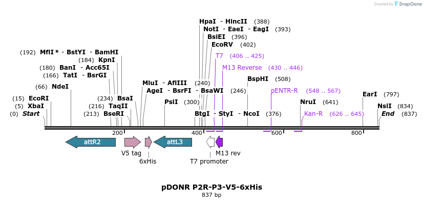 72996_map