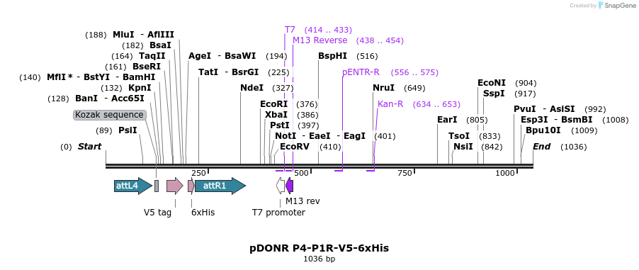 72997_map