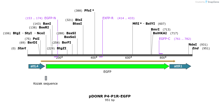 72999_map