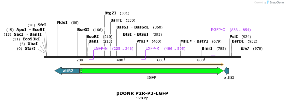 73001_map