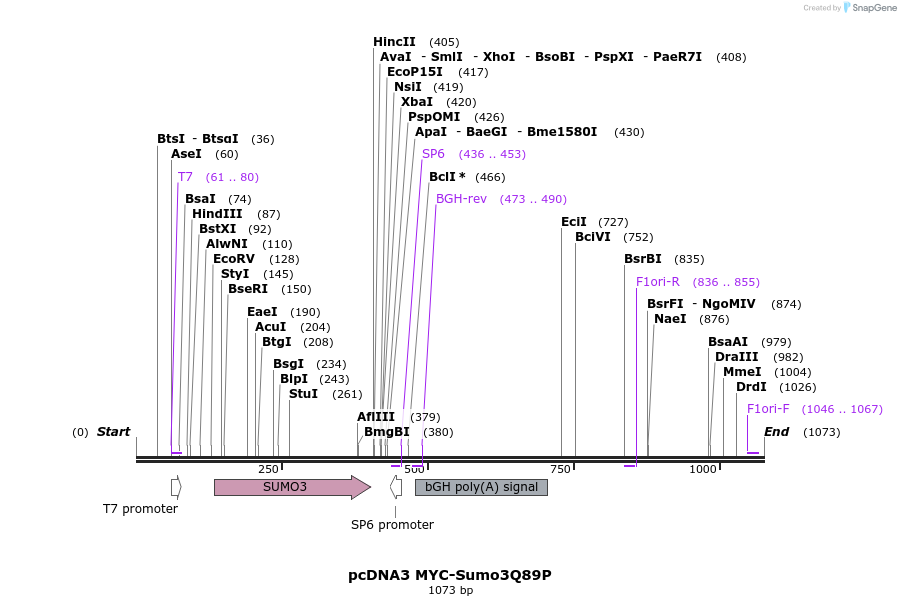 73003_map