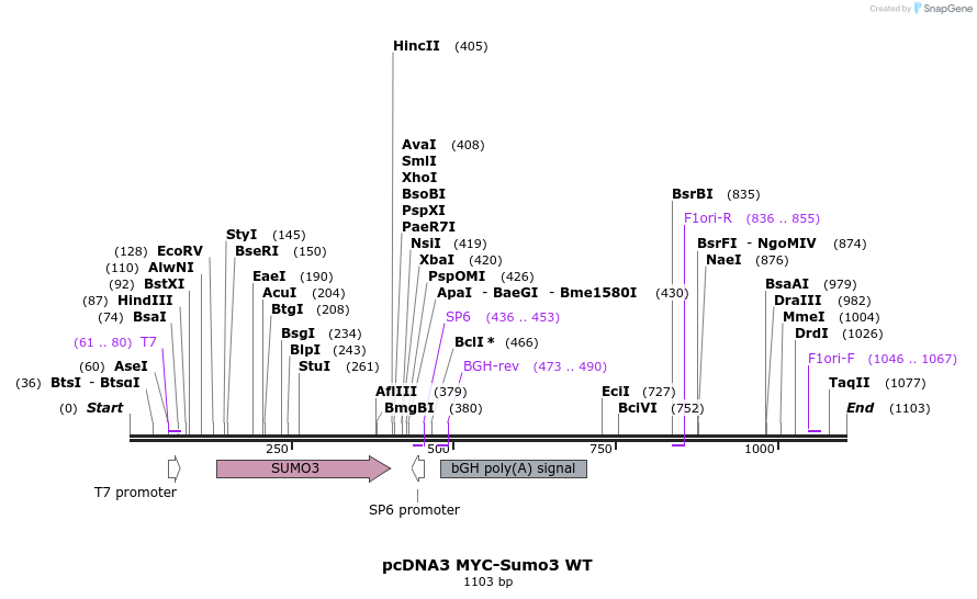 73004_map