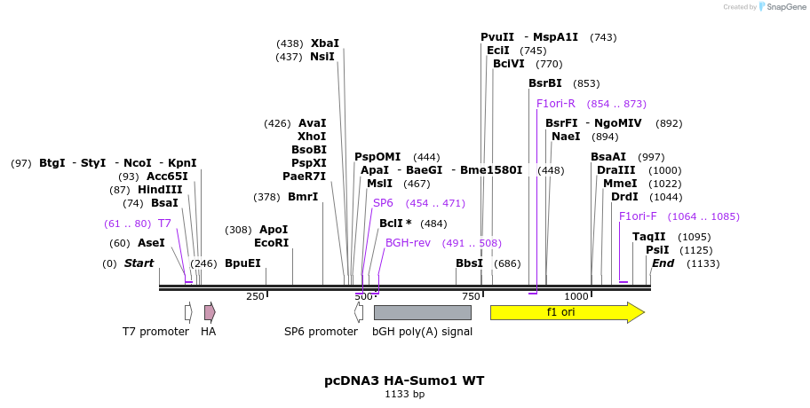 73006_map
