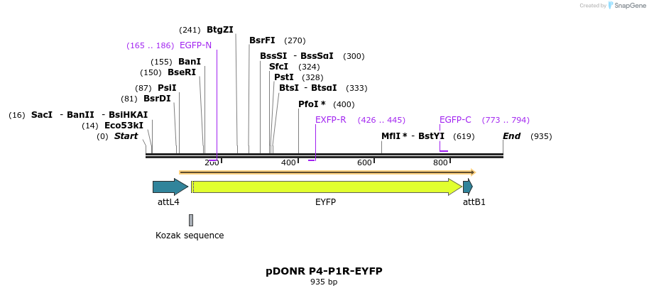 73008_map