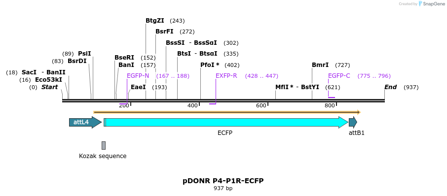 73010_map