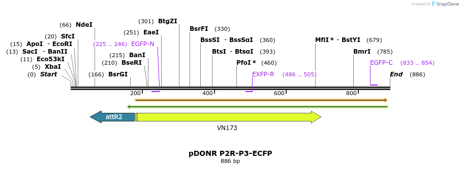 73011_map