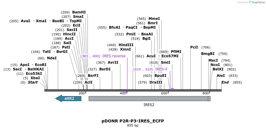 73012_map
