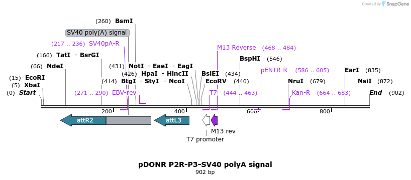 73013_map