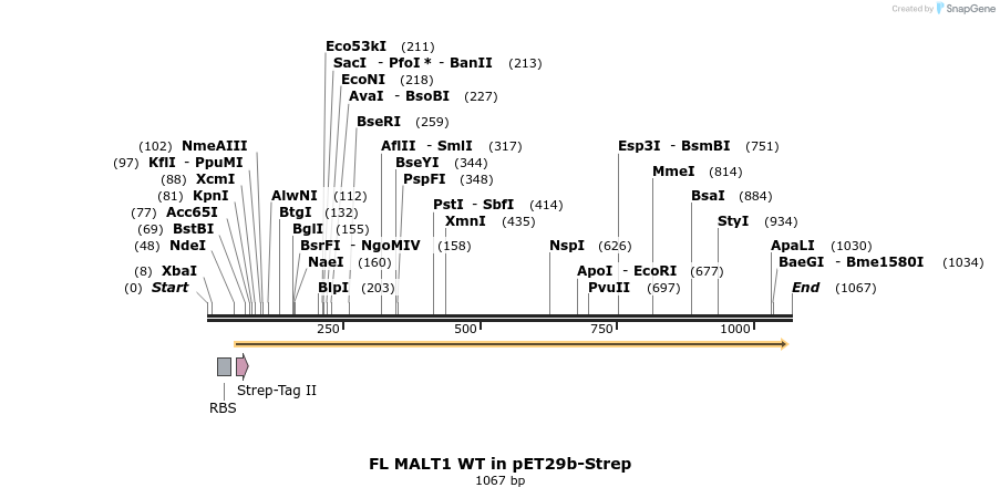 73014_map