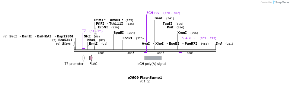 73015_map