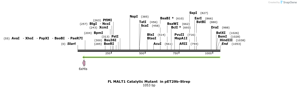 73019_map