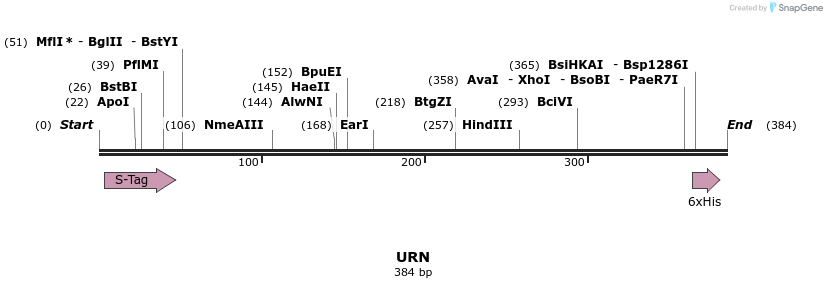 7302_map