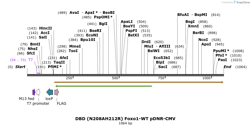 73023_map