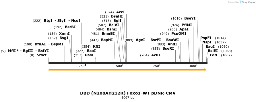 73024_map