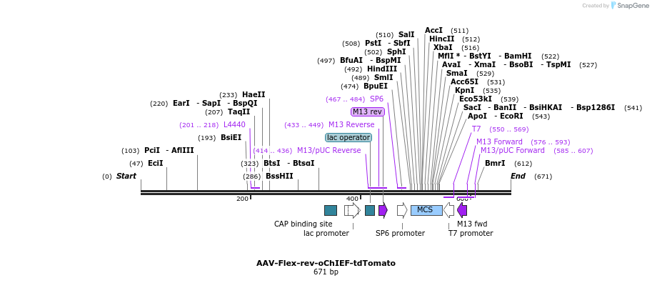 73028_map