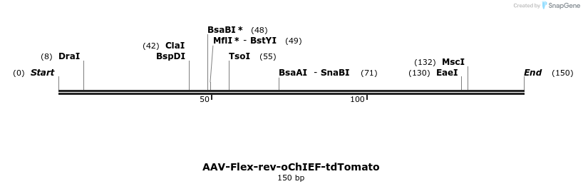 73029_map