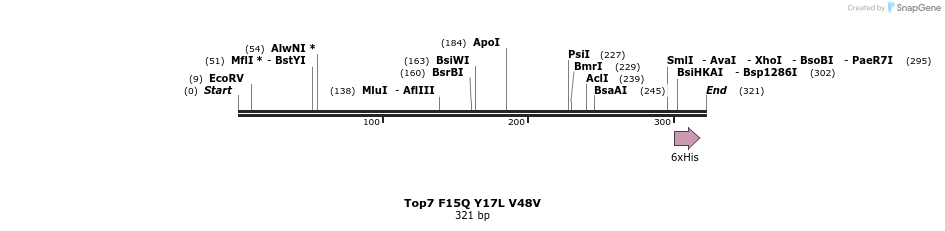 7303_map