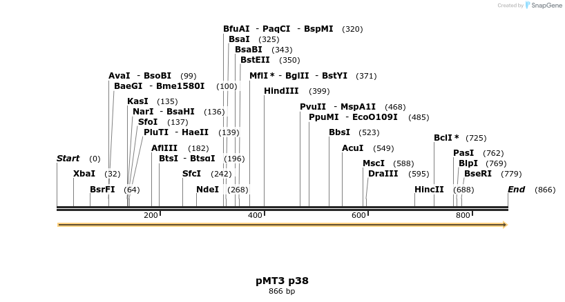 73030_map