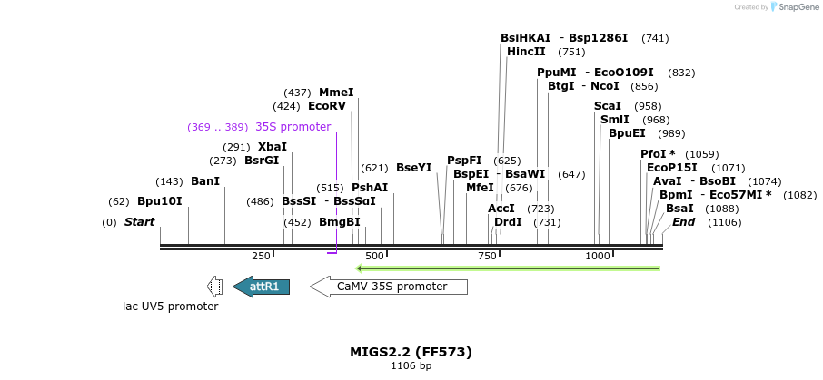 73033_map