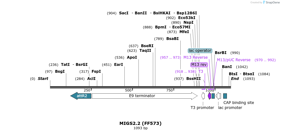 73034_map