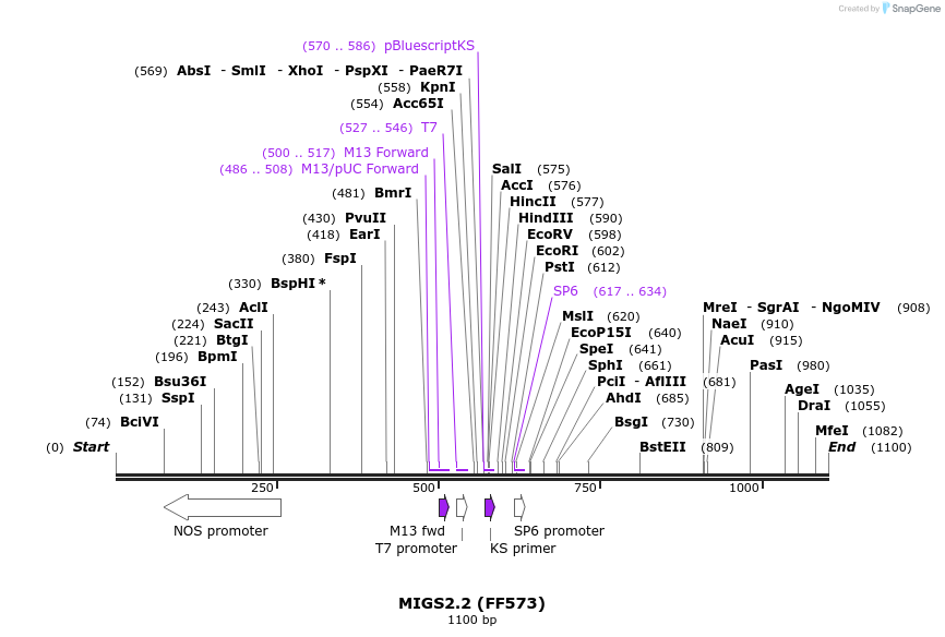 73036_map