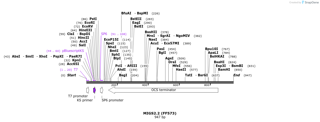 73037_map