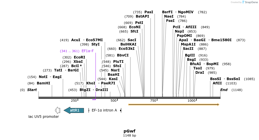 73039_map