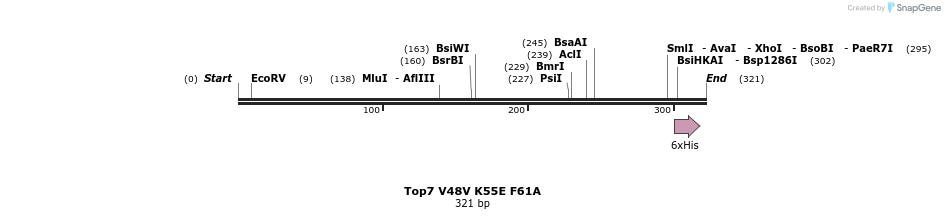 7304_map