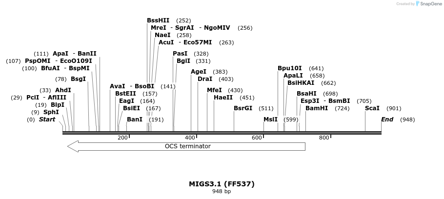 73040_map