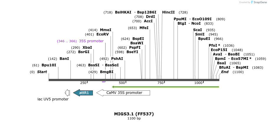73042_map