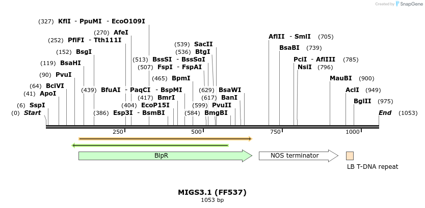 73045_map