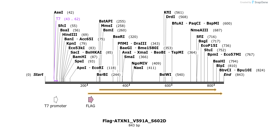 73047_map