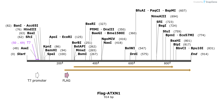 73050_map