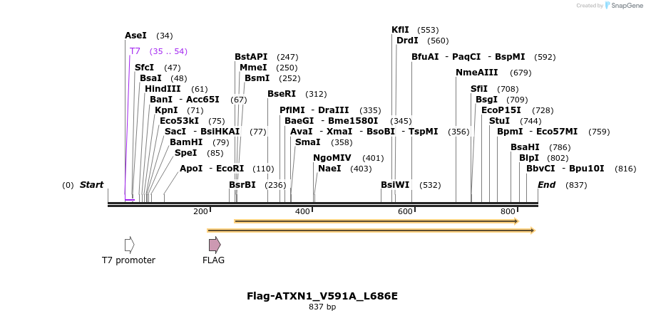 73051_map