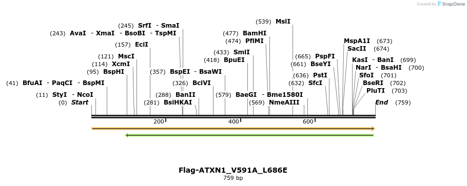 73052_map