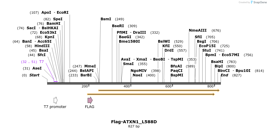 73053_map