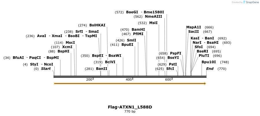 73054_map