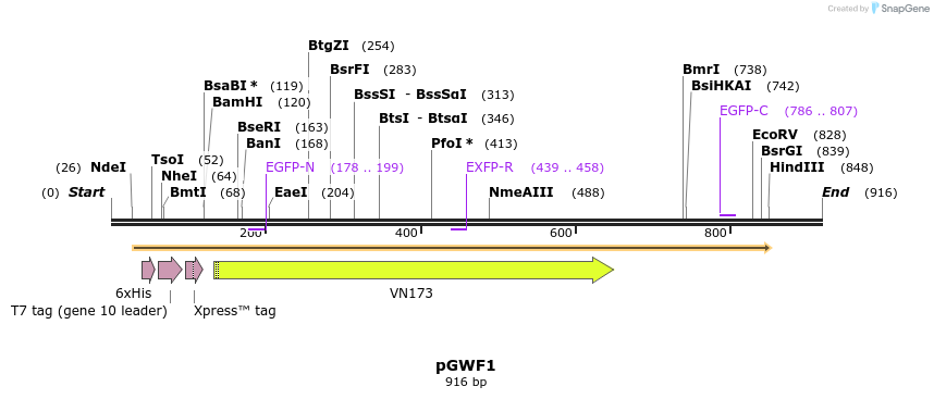 73057_map